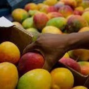 FRUTA